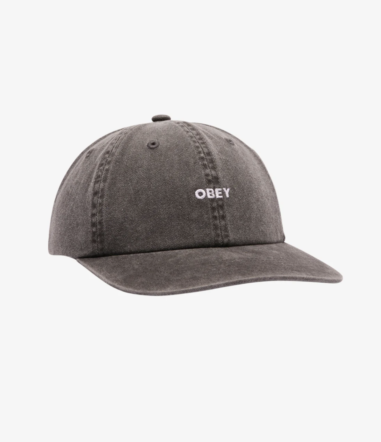 Pigment Lowercase 6 Panel Hat