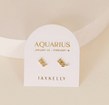 Zodiac Earring