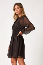 Kira Sheer Mini Dress