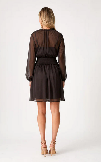 Kira Sheer Mini Dress