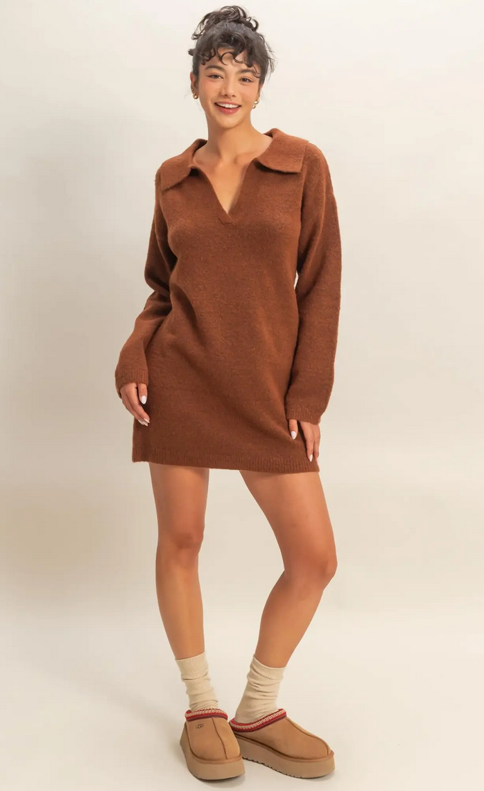 Cocoa Collared Sweater Dress