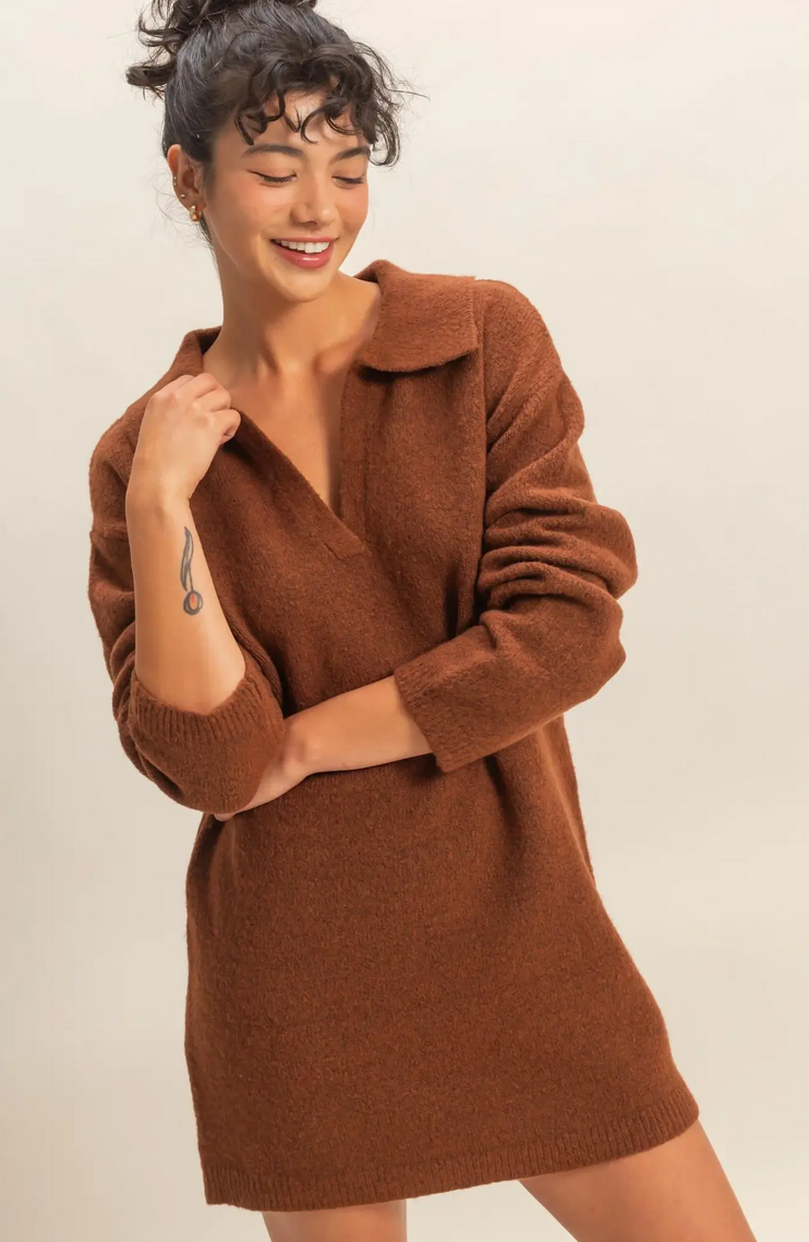 Cocoa Collared Sweater Dress