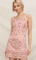 Blush Garden Embroidered Mini Dress