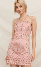 Blush Garden Embroidered Mini Dress