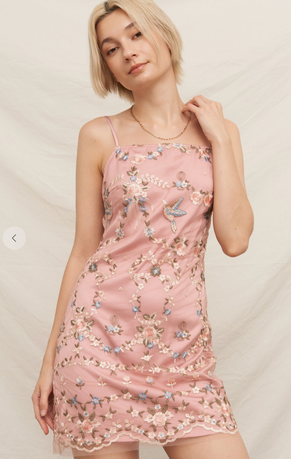 Blush Garden Embroidered Mini Dress