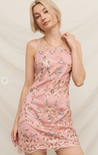 Blush Garden Embroidered Mini Dress