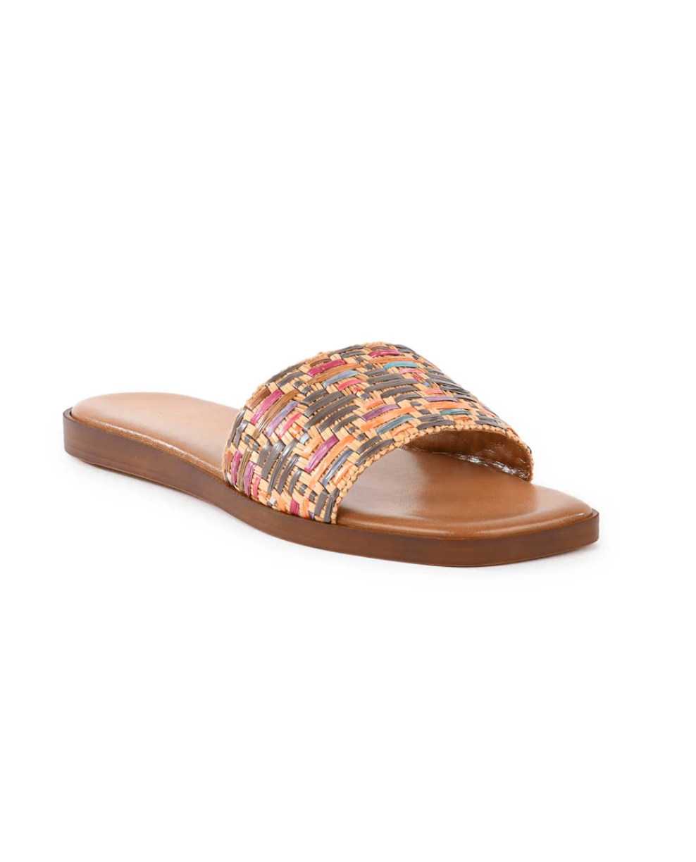 Palm Oasis Slide