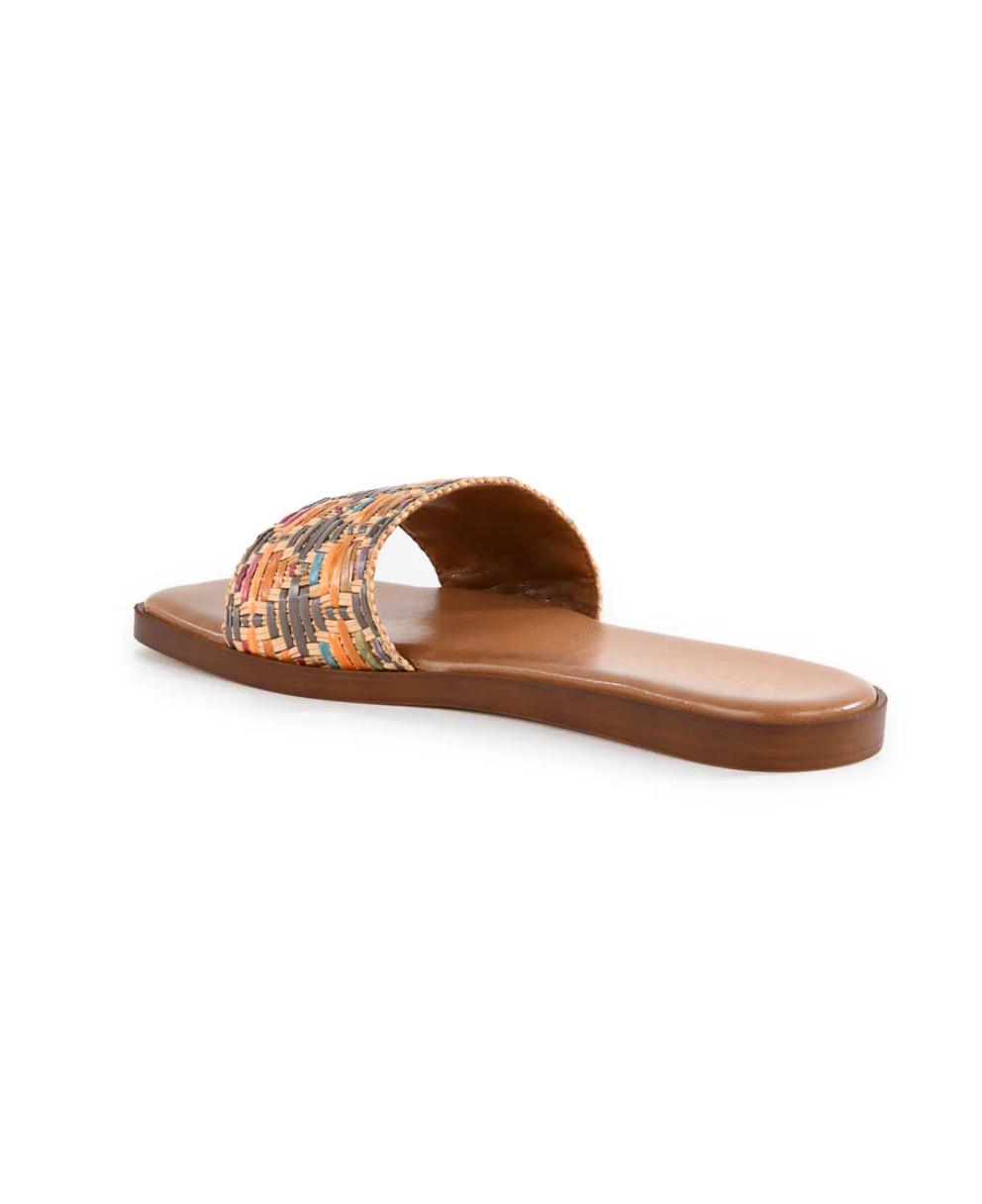 Palm Oasis Slide