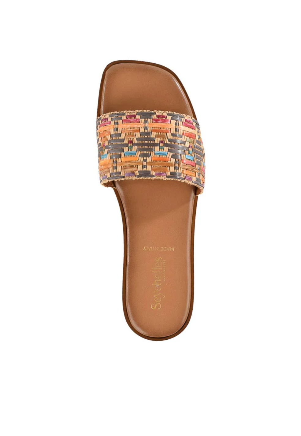 Palm Oasis Slide