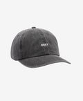 Pigment Bold Strapback Hat