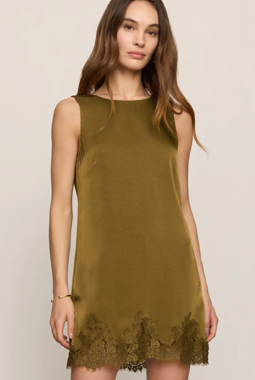 Meadow Muse Lace Mini Dress