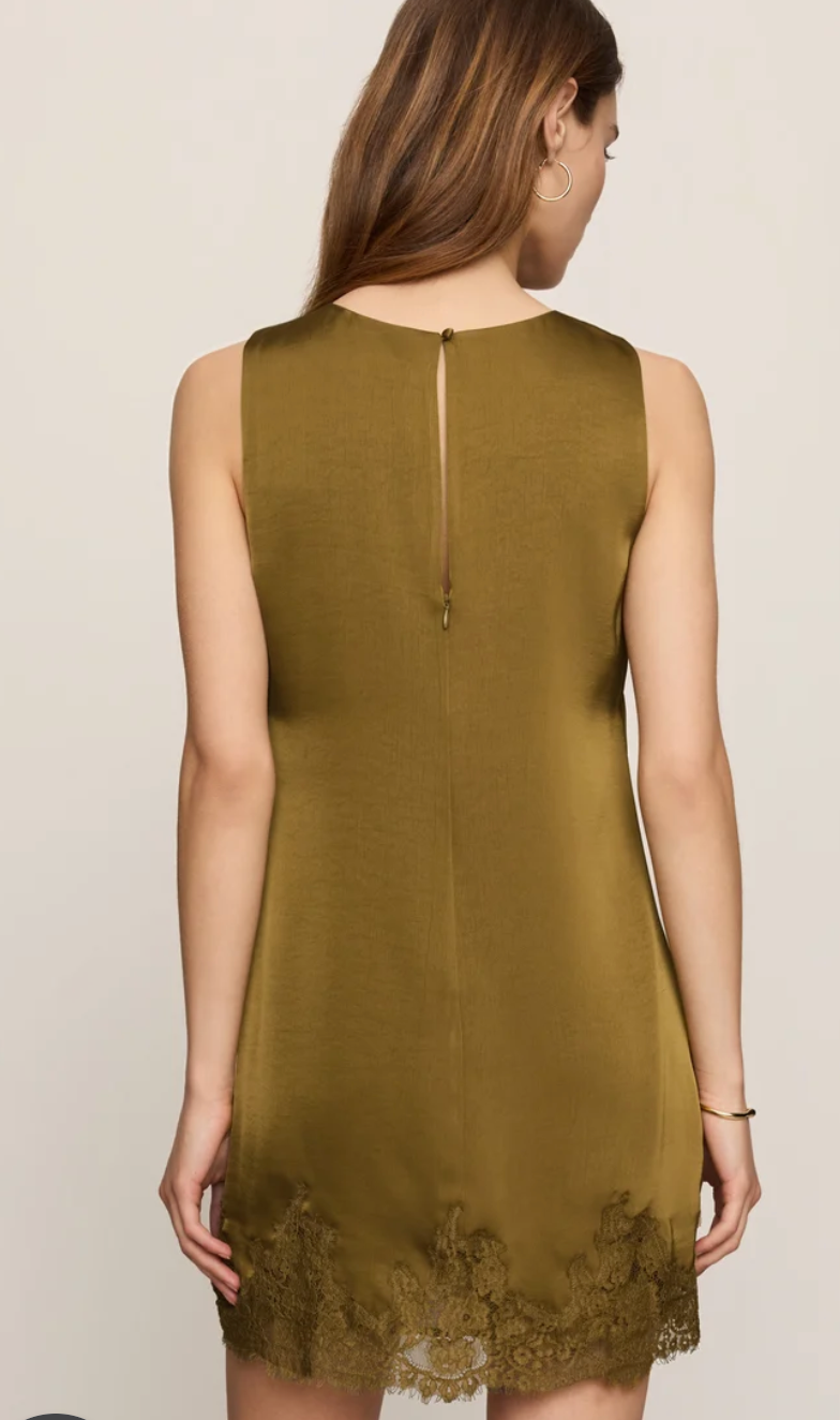 Meadow Muse Lace Mini Dress
