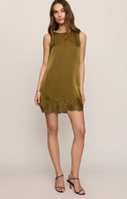 Meadow Muse Lace Mini Dress
