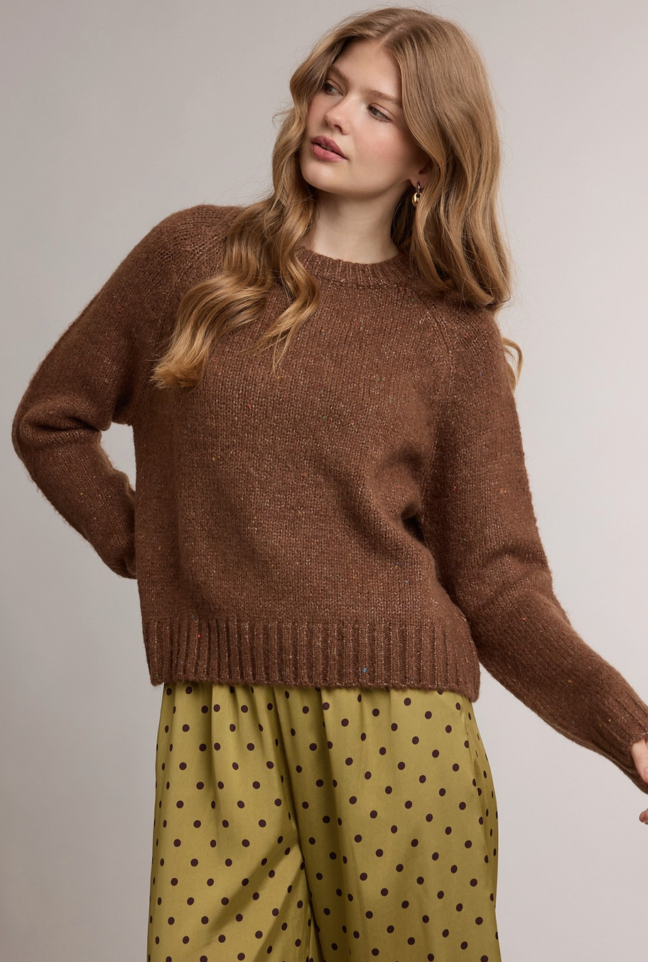 Speckled Soft Knit Crewneck Sweater