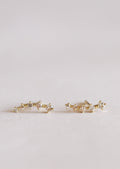 Crawler Earrings
